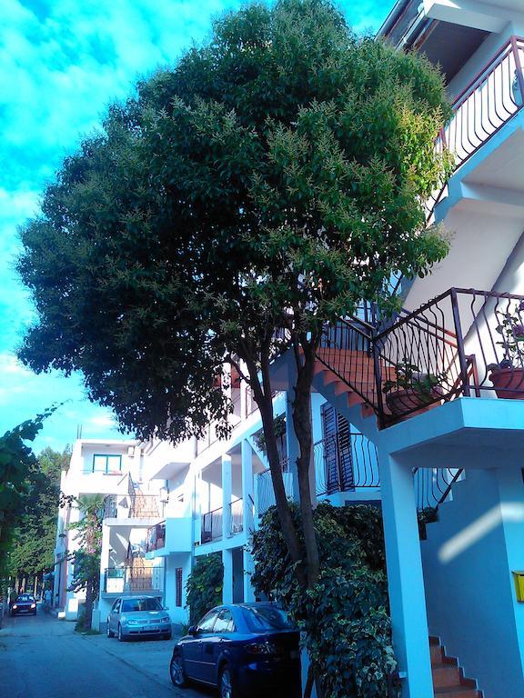 Apartmani Dado Улцин Екстериор снимка